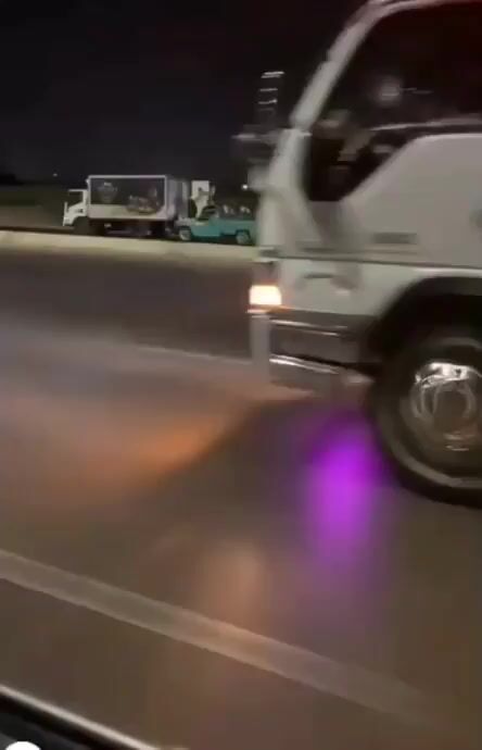 ویدئویی از سرقت باورنکردنی ۱۰۵ کیلو مرغ منجمد
