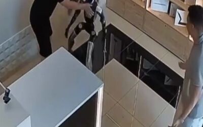 ببینید: ربات انسان نما به کارکنان و مشتریان فروشگاه حمله‌ور شد