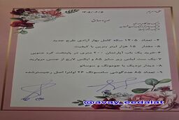 عروس شکست‌خورده مهریه عجیبش را اجرا گذاشت؛ از سکه و آپارتمان در کره جنوبی تا بنزین