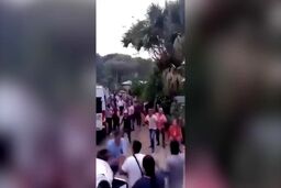 ببینید: حمله افراد مسلح به شهرداری به دلیل اختلافات ارضی