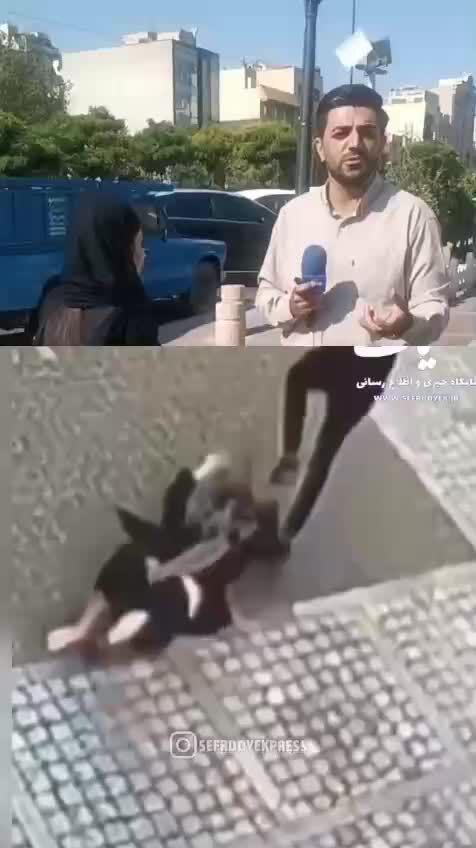 ببینید: جزئیات سرقت خشن تلفن همراه از زن جوان در سعادت آباد