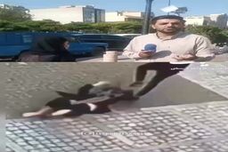 ببینید: جزئیات سرقت خشن تلفن همراه از زن جوان در سعادت آباد
