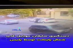 ببینید: دستگیری موبایل‌قاپان شمال پایتخت با شلیک پلیس
