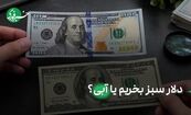 فرق دلار سبز و آبی چیست؛ نکته‌ای برای پیشگیری از کلاهبرداری