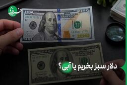 فرق دلار سبز و آبی چیست؛ نکته‌ای برای پیشگیری از کلاهبرداری