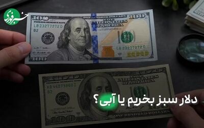 فرق دلار سبز و آبی چیست؛ نکته‌ای برای پیشگیری از کلاهبرداری