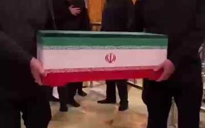لحظه ورود نوه ۱۴ ماهه آقای شهید ایران به بارگاه حضرت علی (ع)