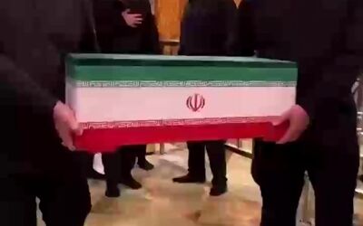 لحظه ورود نوه ۱۴ ماهه آقای شهید ایران به بارگاه حضرت علی (ع)